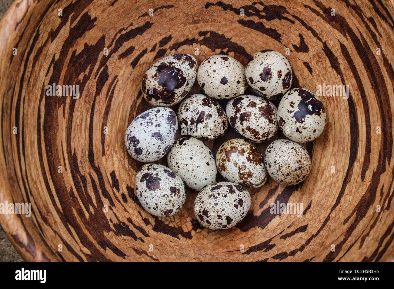 Annidando in una ciotola di legno una dozzina di quaglie uova. Motivi circolari e dorati. Foto Stock
