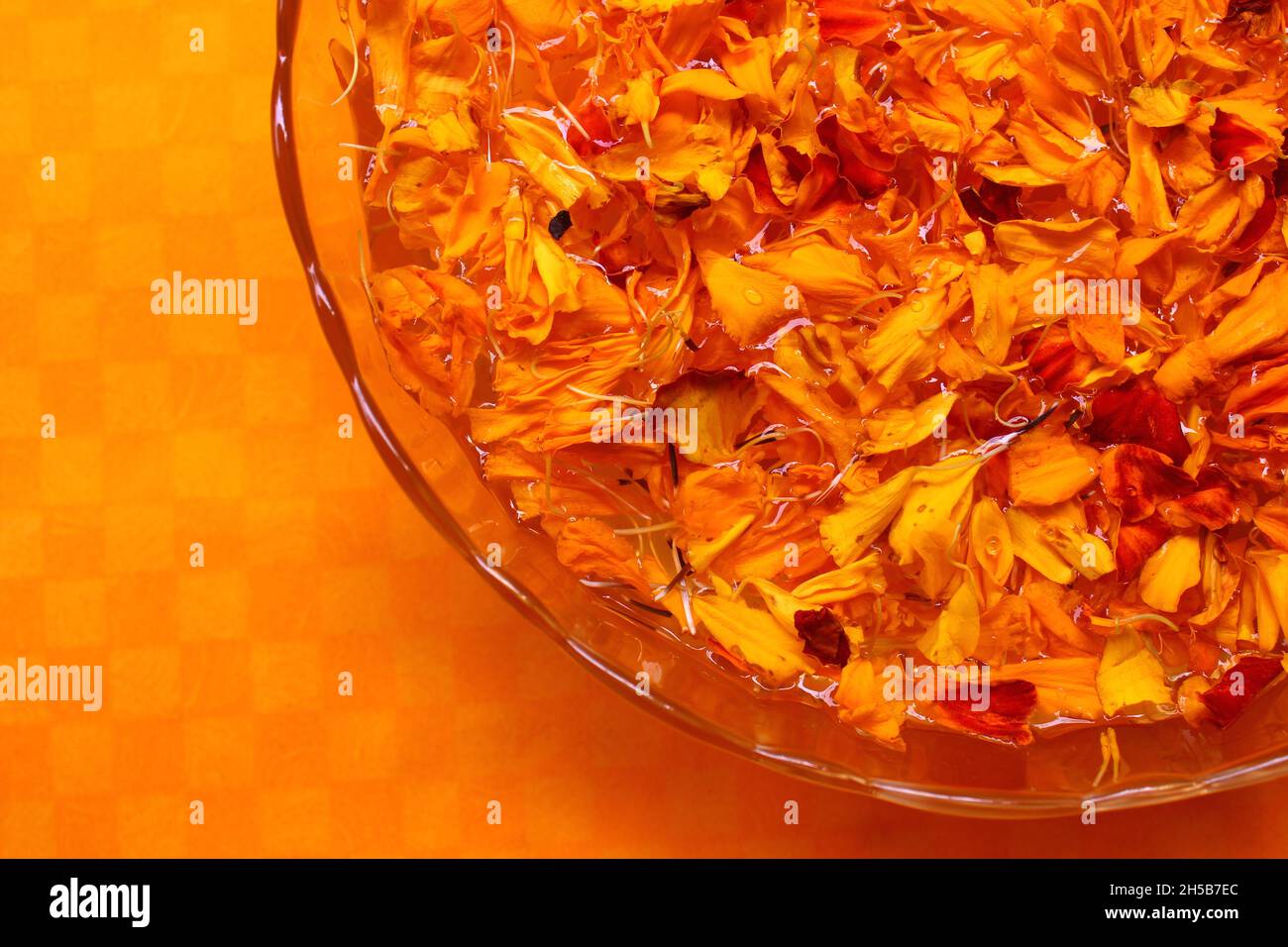 Primo piano di petali di fiori di Marigold in una ciotola di vetro trasparente riempita d'acqua su sfondo arancione Foto Stock