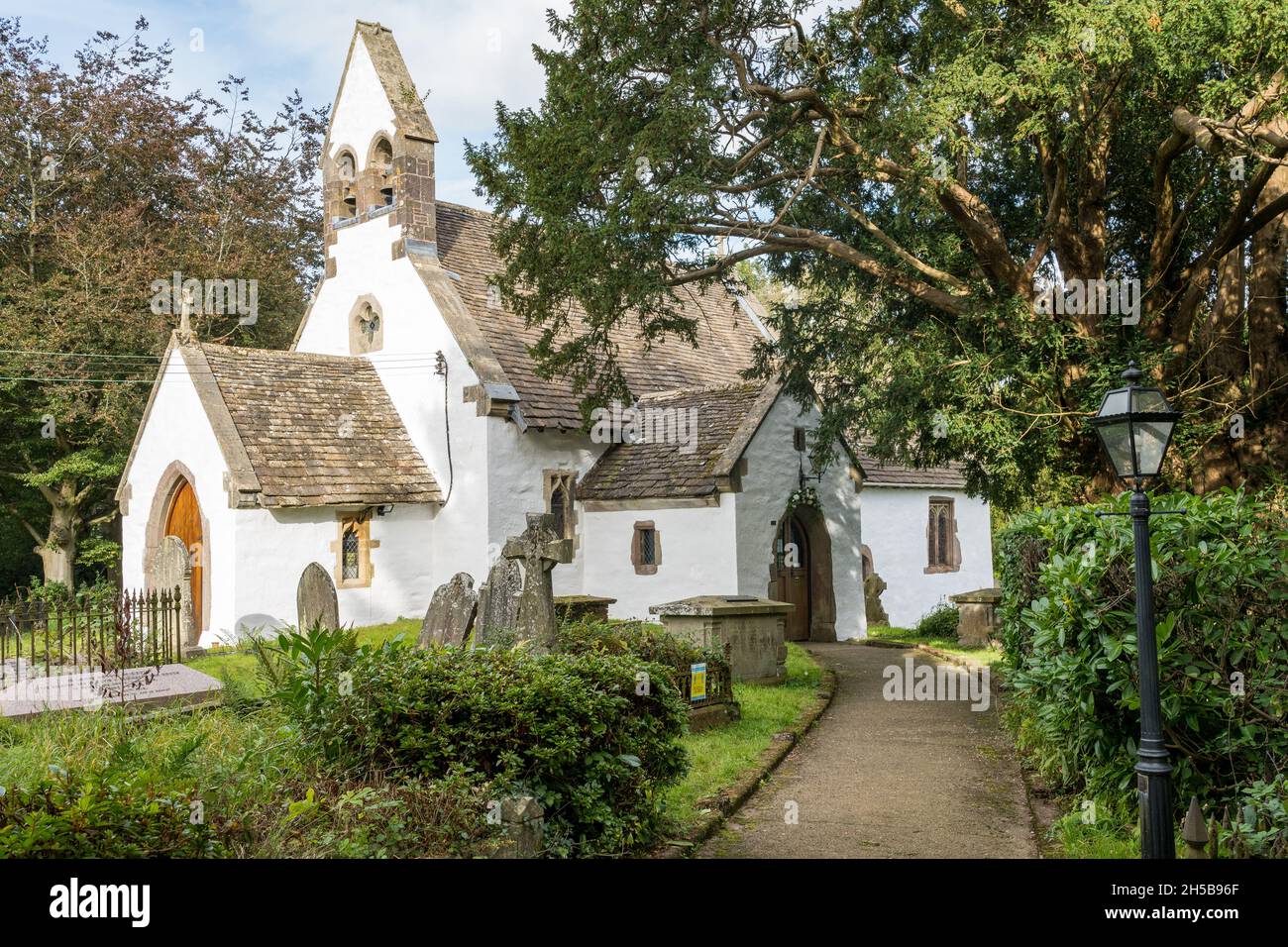 Chiesa di San Illtyd con antico albero di tasso pre-cristiano, il più antico albero di tasso in Galles, , Mamhilad, Monmouthshire, Galles, Foto Stock