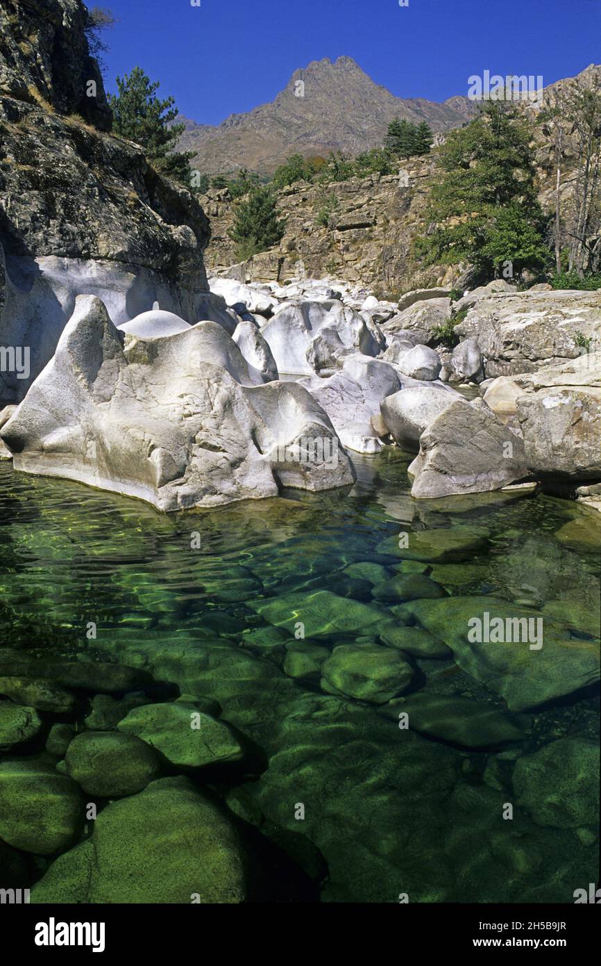 IL GOLO, IL FIUME PIÙ GRANDE E LA PAGLIA ORBA SULLO SFONDO, HAUTE-CORSE (2B), FRANCIA Foto Stock