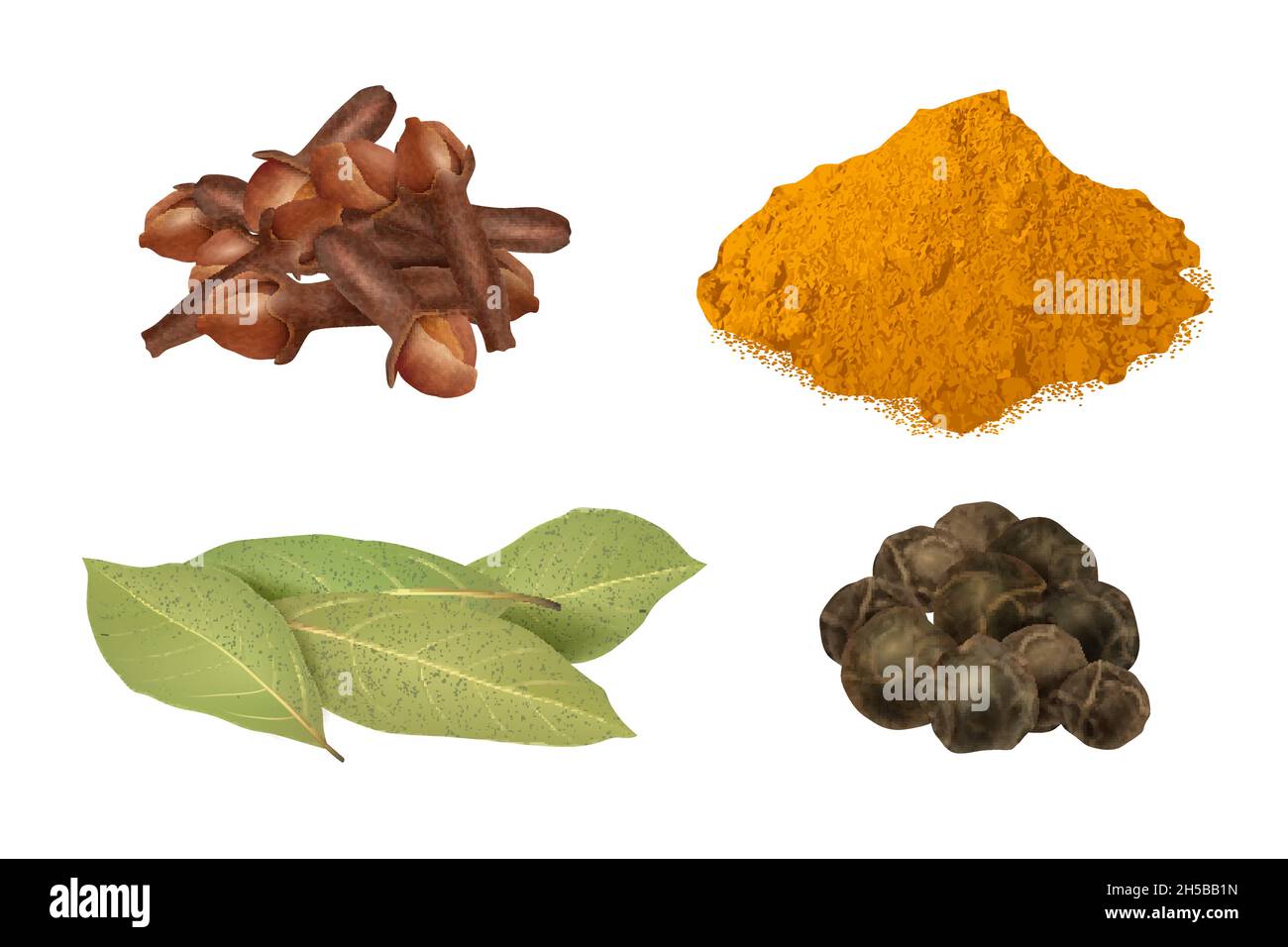 Spezie realistiche. Herb foglie gourmet cucina accessori per la preparazione di allori alimentari zafferano condimento vettore set Illustrazione Vettoriale