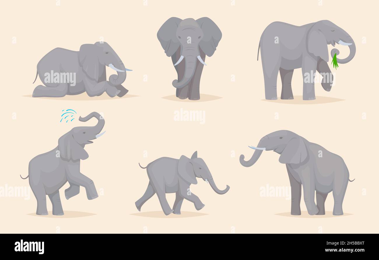 Orecchini a forma di elefante, in argento Sterling