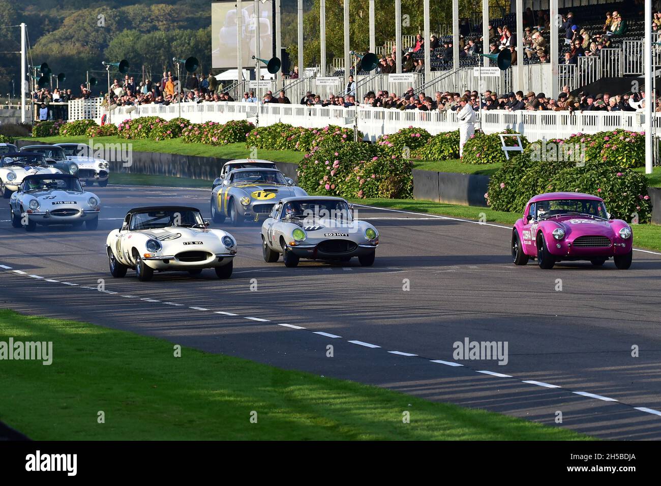 Due e-Types e un AC Cobra, Nigel Greensall, Jaguar e-Type, Moss Trophy, chiuso cockpit prototipi e GT auto il tono delle gare RAC TT che hanno corso Foto Stock