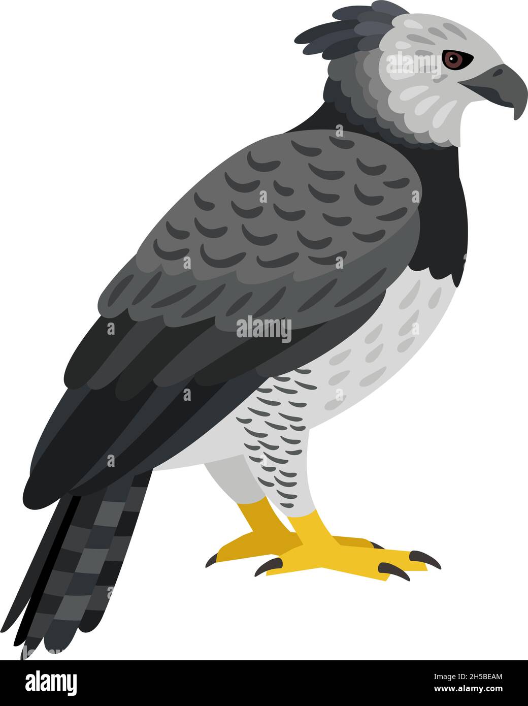Uccello pericoloso. Cartoon bello volare caccia animale del cielo, carattere esotico grigio di ornitologia, illustrazione vettoriale di aquila arpia isolato su sfondo bianco Illustrazione Vettoriale