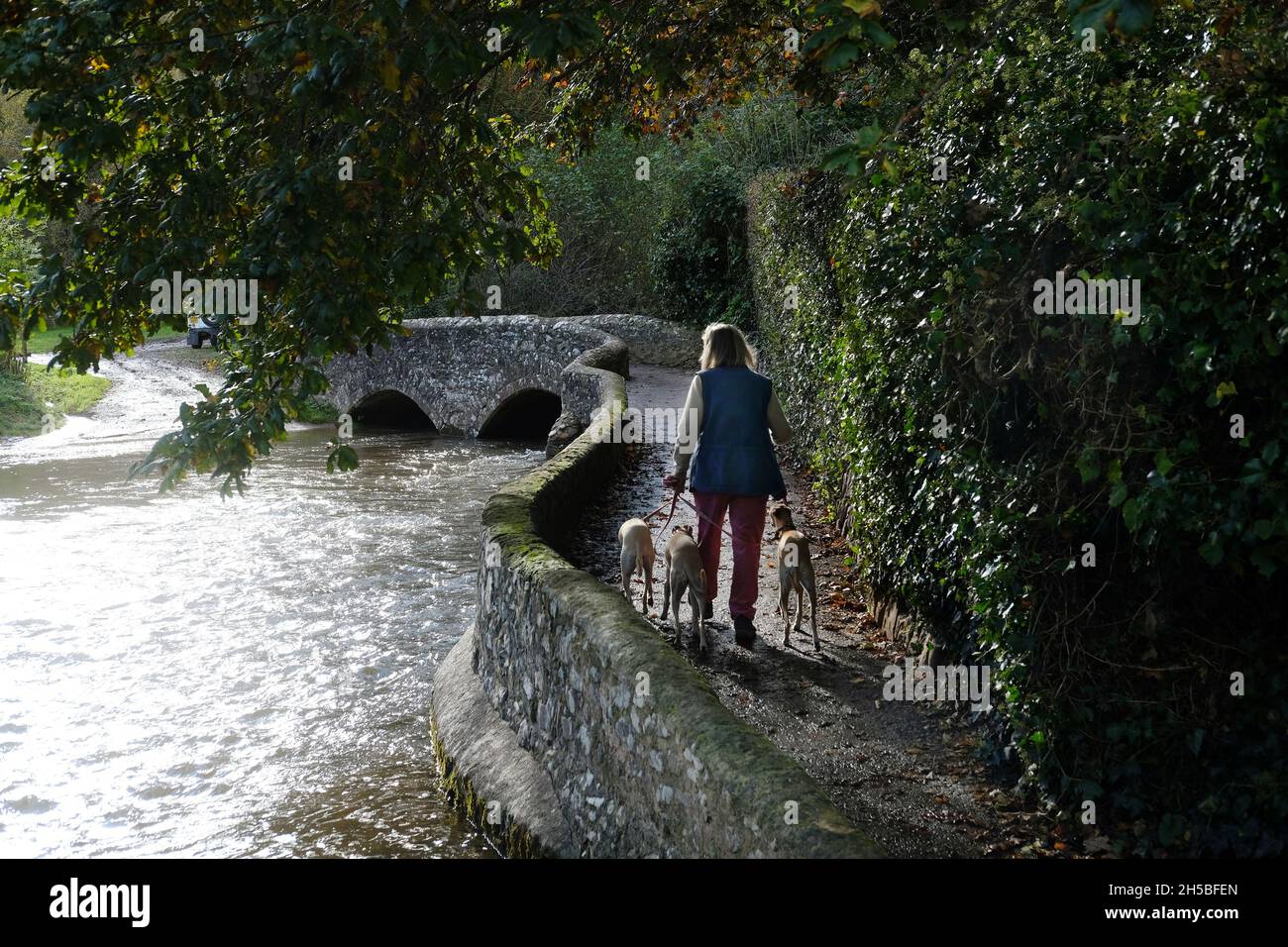 Una donna che cammina i suoi cani attraverso il ponte medievale Gallox a Dunster. Foto Stock