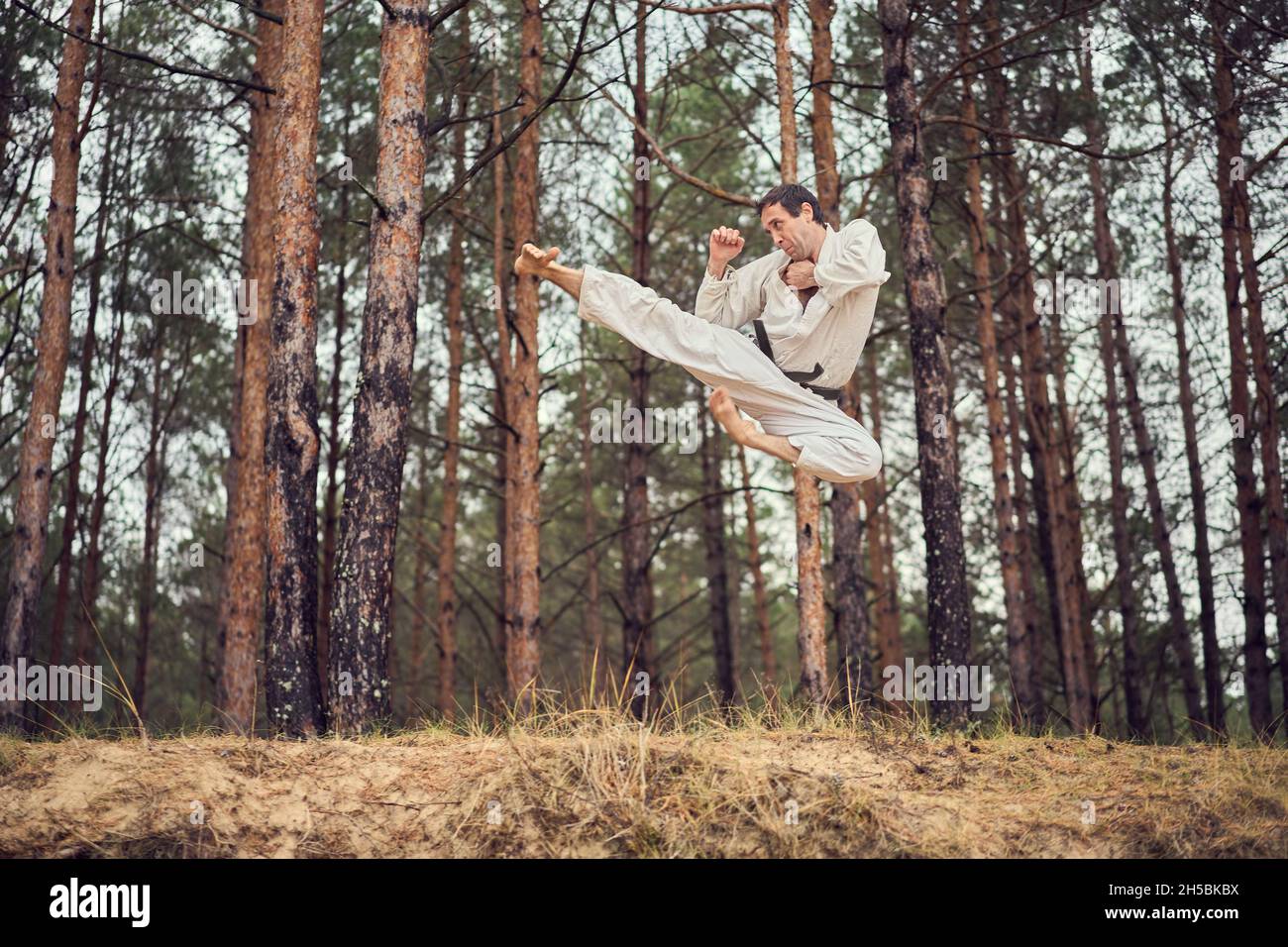 Karate uomo in un vecchio kimono e cintura nera allenamento salto laterale calcio nella foresta di pini. Concetto di arti marziali. Pineta sullo sfondo. Foto Stock