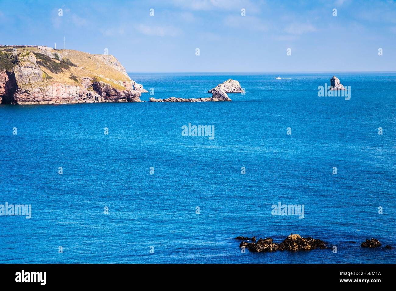 Vista verso St. Mary's Bay, Darl Head e Berry Head vicino a Brixham in Devon dal South West Coast Path con Darl Rock, Mew Stone e Cod Rock Foto Stock