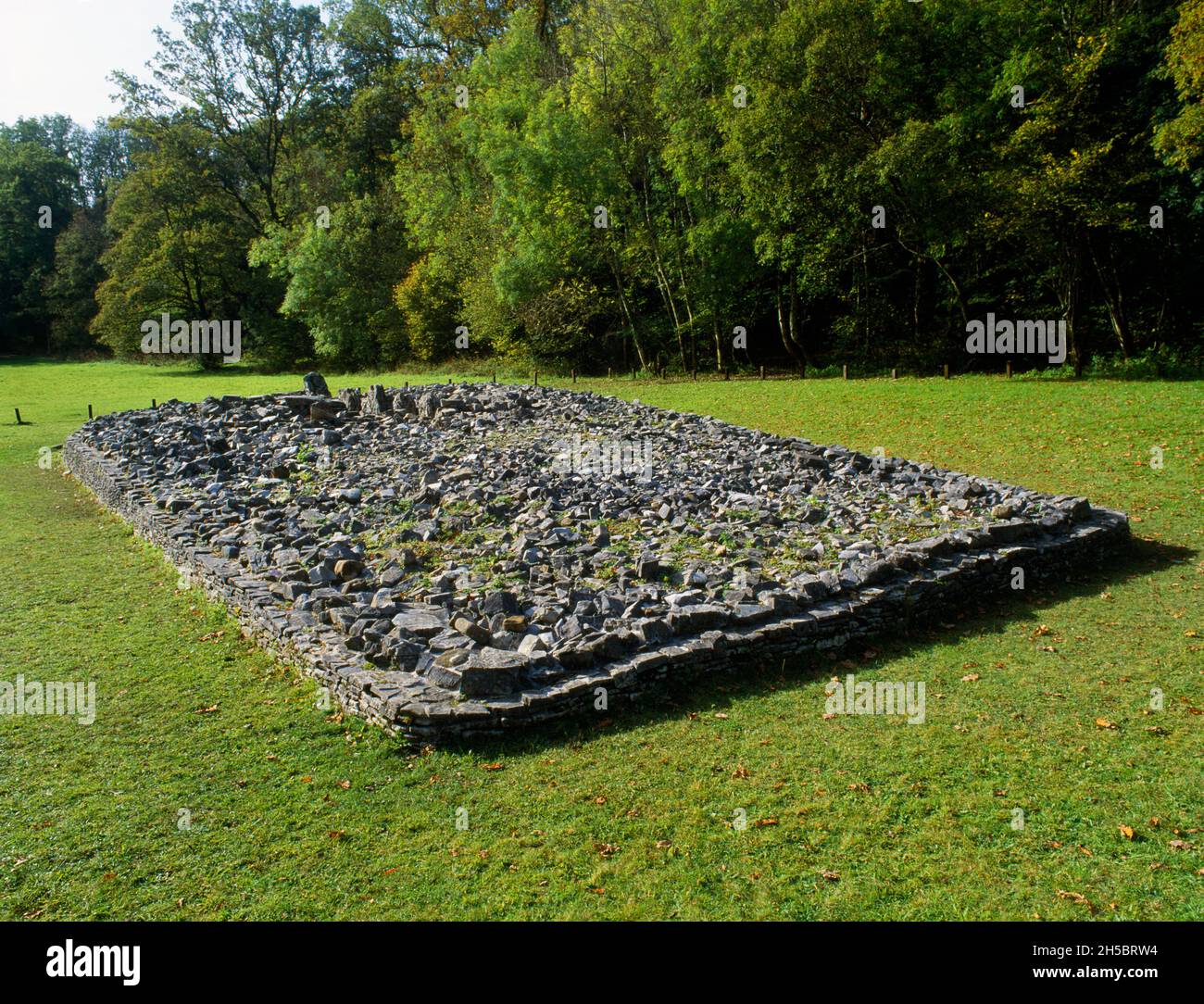 Vista SW dal retro di Parc le Breos Neolitico a ciambella lunga, Gower, Galles, UK: Mostrando solette verticali del passaggio e camere di sepoltura a S. Foto Stock