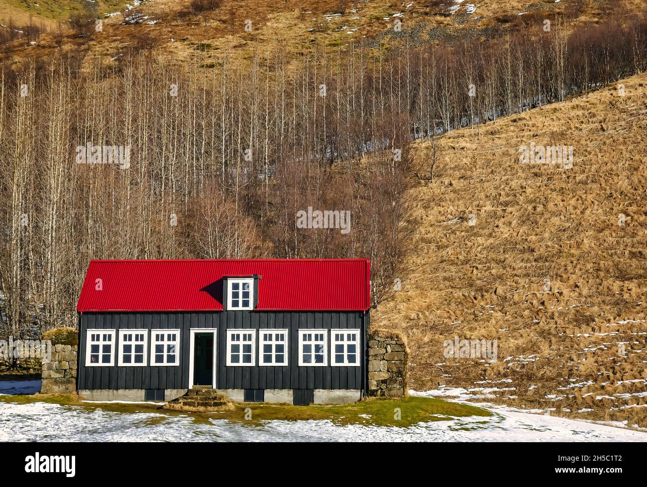 Casa in legno tradizionale con neve in inverno con alberi di betulla sul fianco della collina, Skogar Folk Museum, Islanda Foto Stock