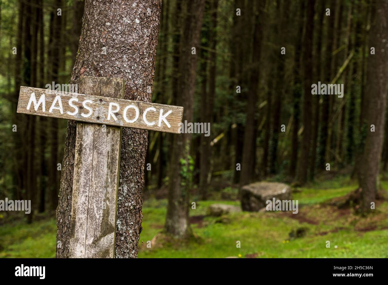 Il sito di una roccia di massa sul Canon Sheehan loop Walk nel parco forestale Ballyhoura, Ballyguyroe North, County Cork, Irlanda. Foto Stock