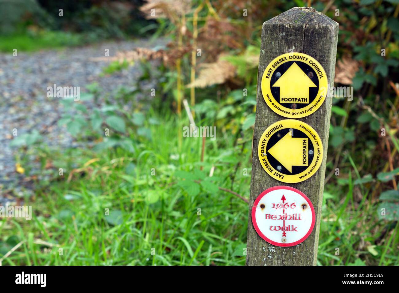 Un indicatore di modo e percorso a piedi nella riserva naturale della Royal Society for the Protection of Birds (RSPB) di Fore Wood nel Sussex orientale, Inghilterra, Regno Unito. Foto Stock