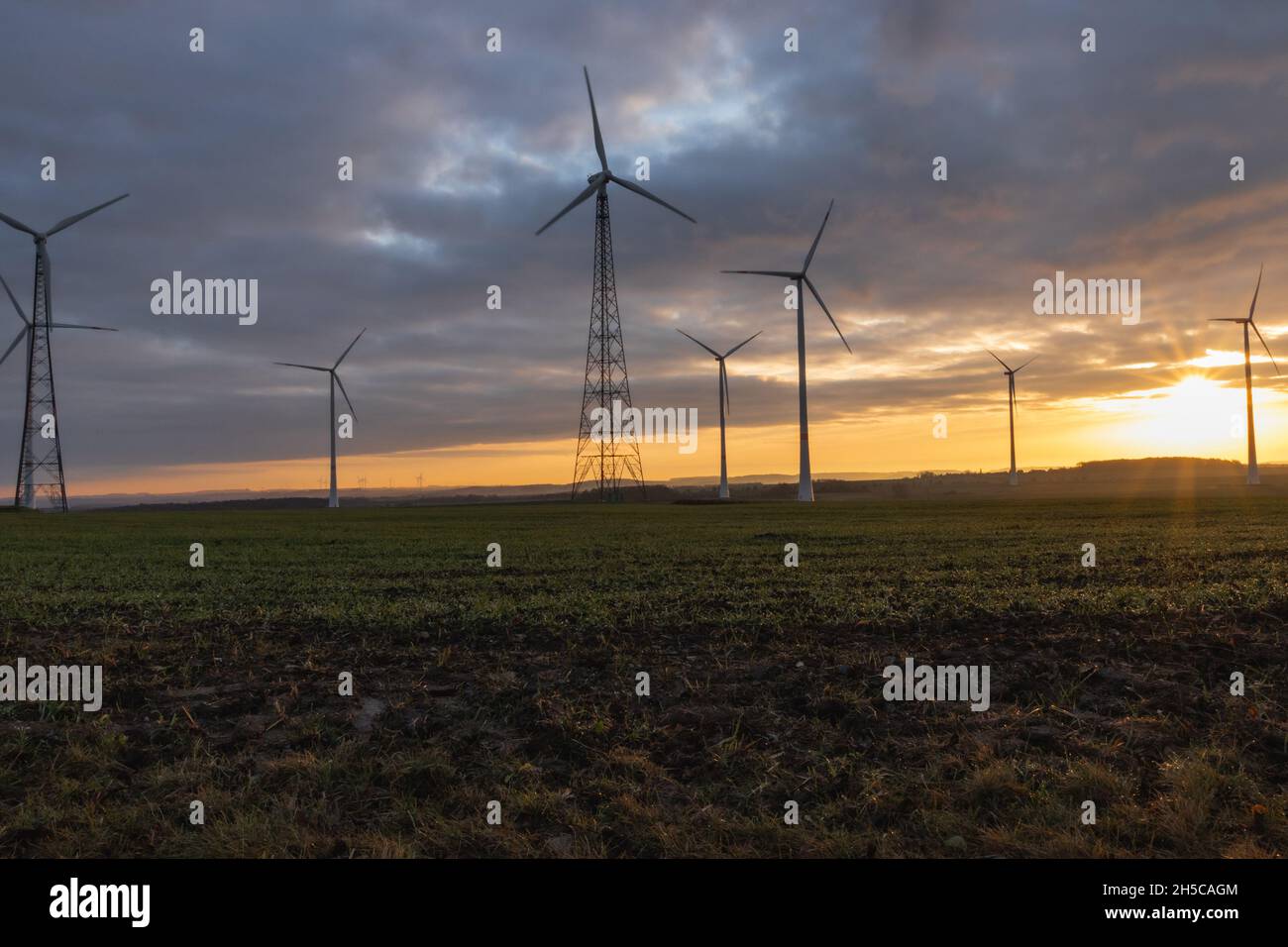Alba su un campo con volani per l'energia verde, Germania, Turingia, Foto Stock