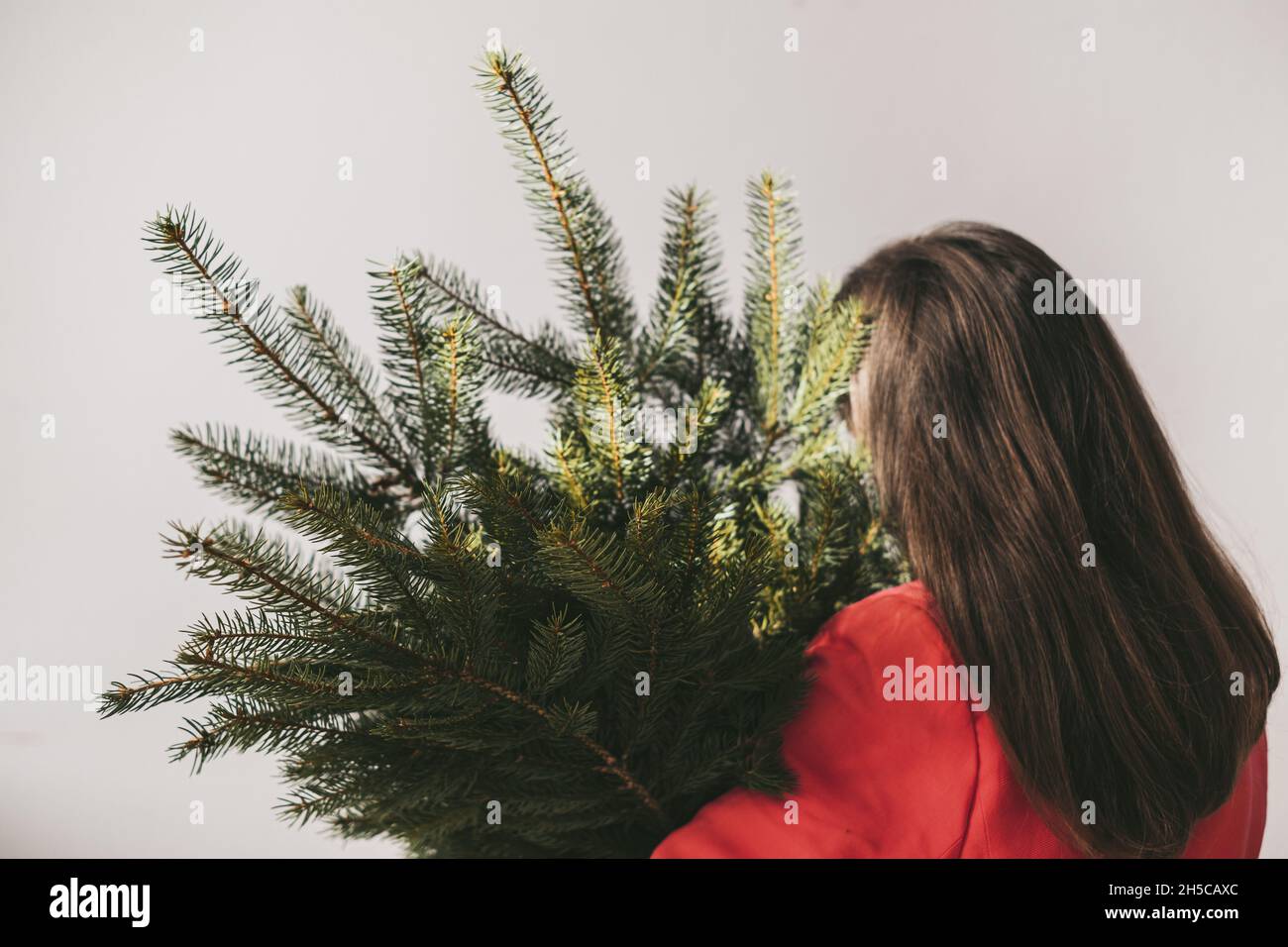 La ragazza la girò indietro in una giacca rossa che tiene un ramo dell'albero di Natale su uno sfondo grigio. concetto di conservazione della foresta. Foto di alta qualità Foto Stock