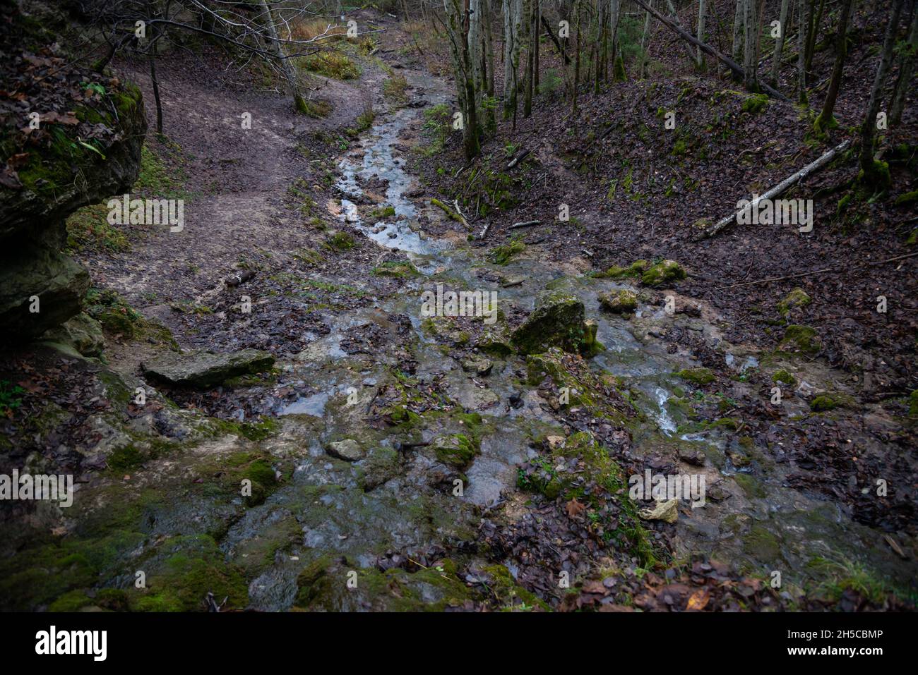 roccia sabbiosa lungo la quale scorre una chiara foresta acqua sorgiva formando una cascata. Pietre con muschio verde. Foto Stock