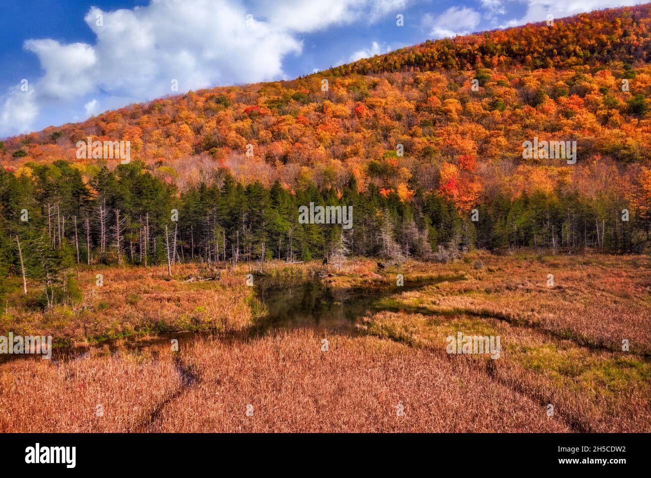 Catskills NY in the Fall - veduta aerea della riserva naturale Mohonk Preserve nel Shawangunk Ridge, nella contea di Ulster, New York. Foto Stock