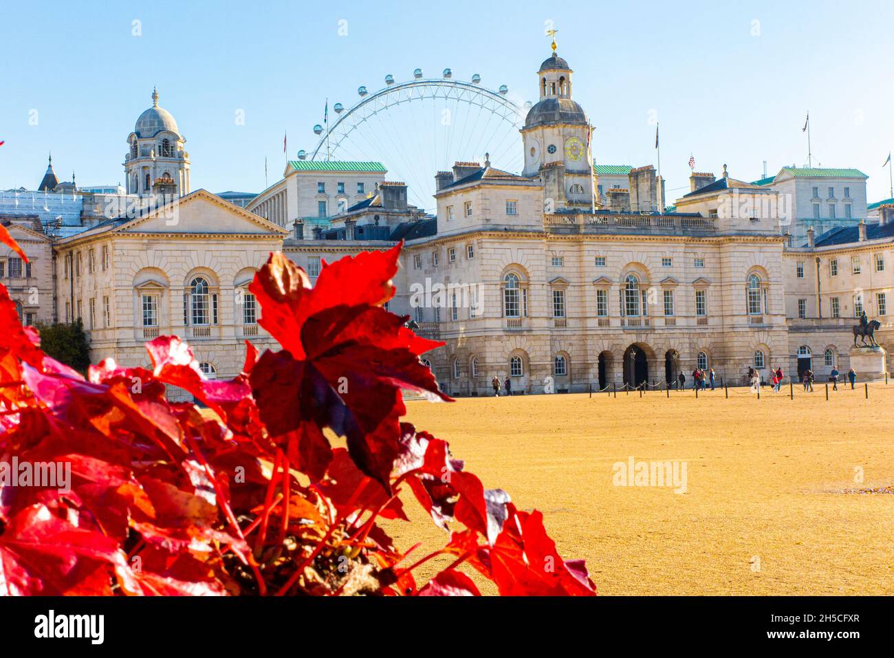 Brillanti colori autunnali sulla ivy a Horseguard's Parade di Londra Foto Stock