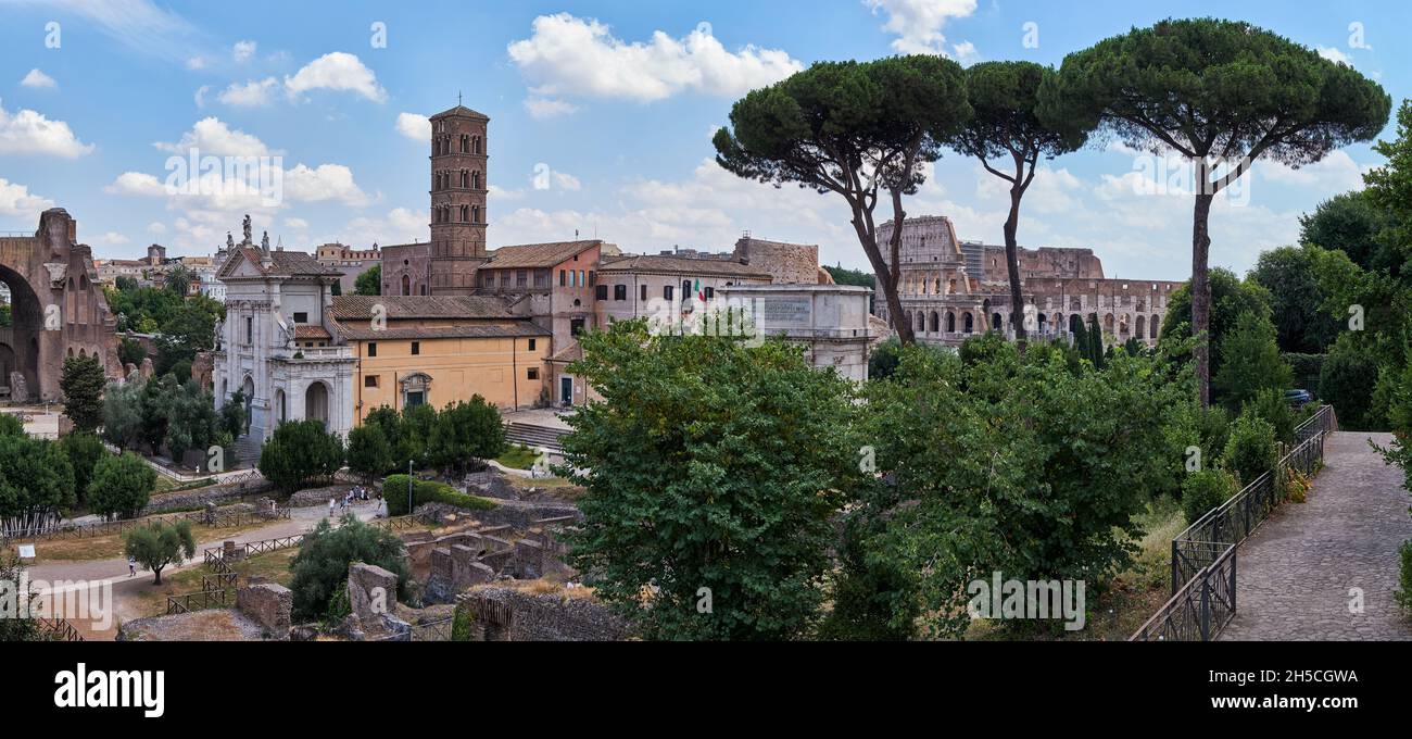 Vista dal Colle Palatino verso l'Arco di Tito e il Colosseo attraverso i Pini, Roma, Italia Foto Stock