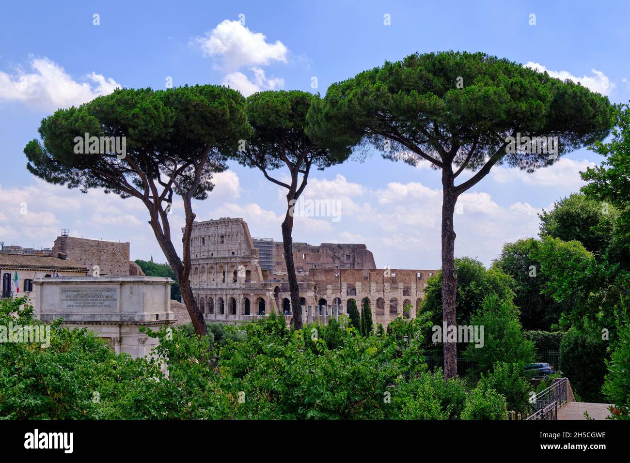 Vista dal Colle Palatino verso l'Arco di Tito e il Colosseo attraverso i Pini, Roma, Italia Foto Stock