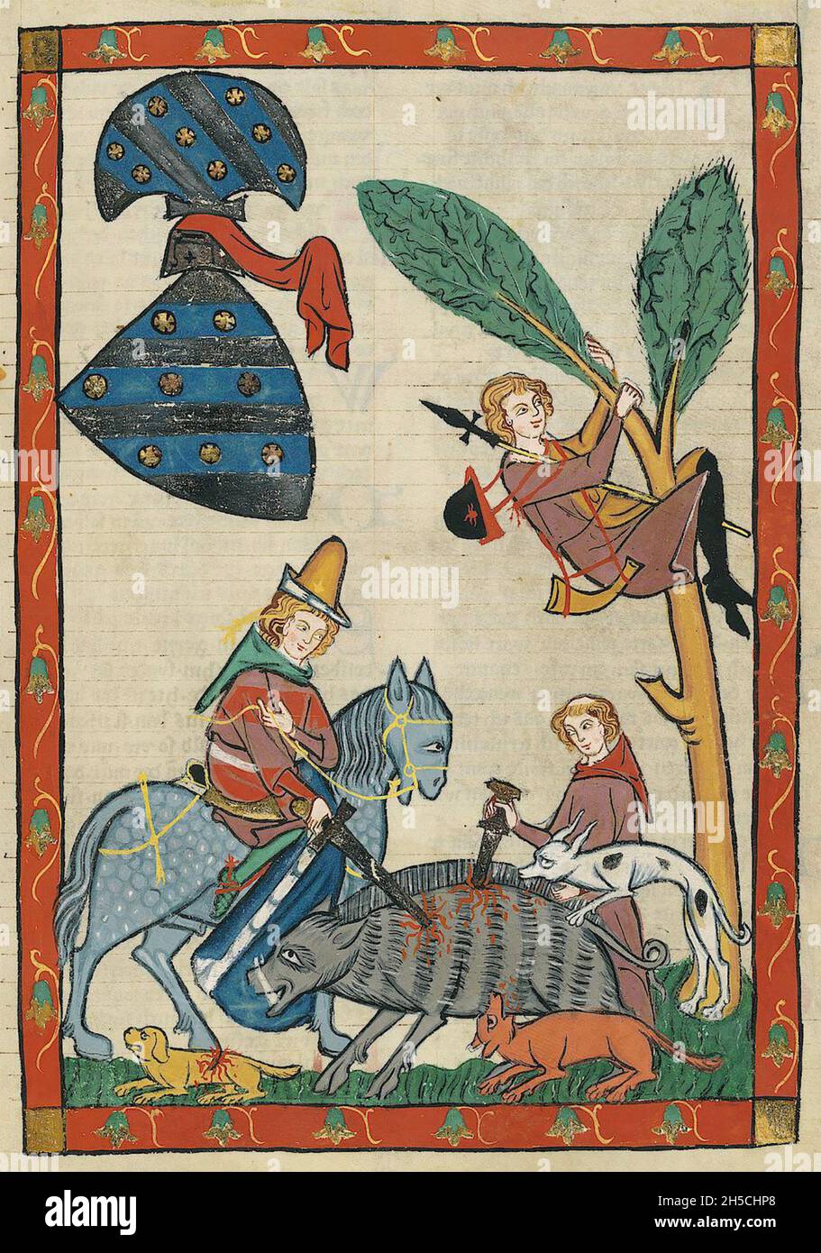 CODEX MANESSE un manoscritto tedesco del XIV secolo di inizio e metà che contiene canzoni e che illustra vita medievale.Caccia cinghiale. Foto Stock