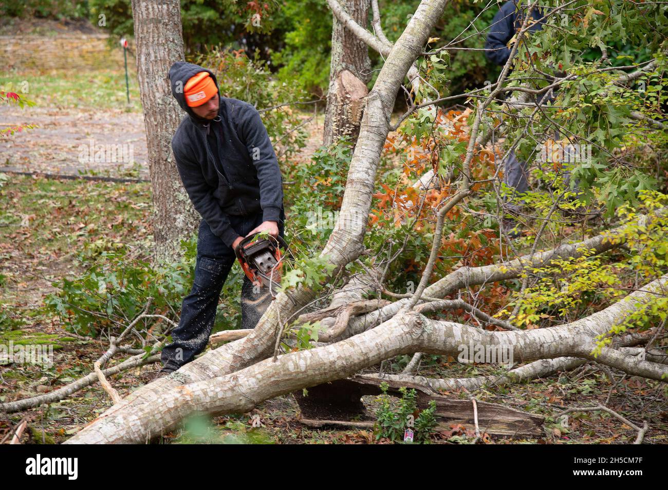 Un lavoratore che pulisce danni da tempesta su Cape Cod Foto Stock