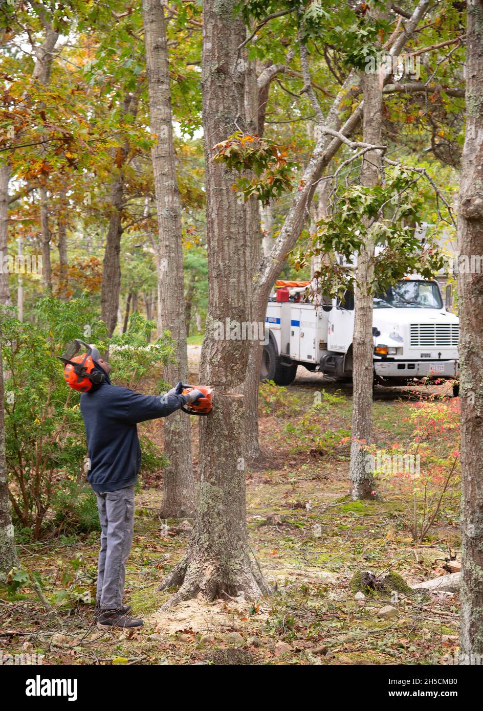 Un lavoratore che pulisce danni da tempesta su Cape Cod Foto Stock