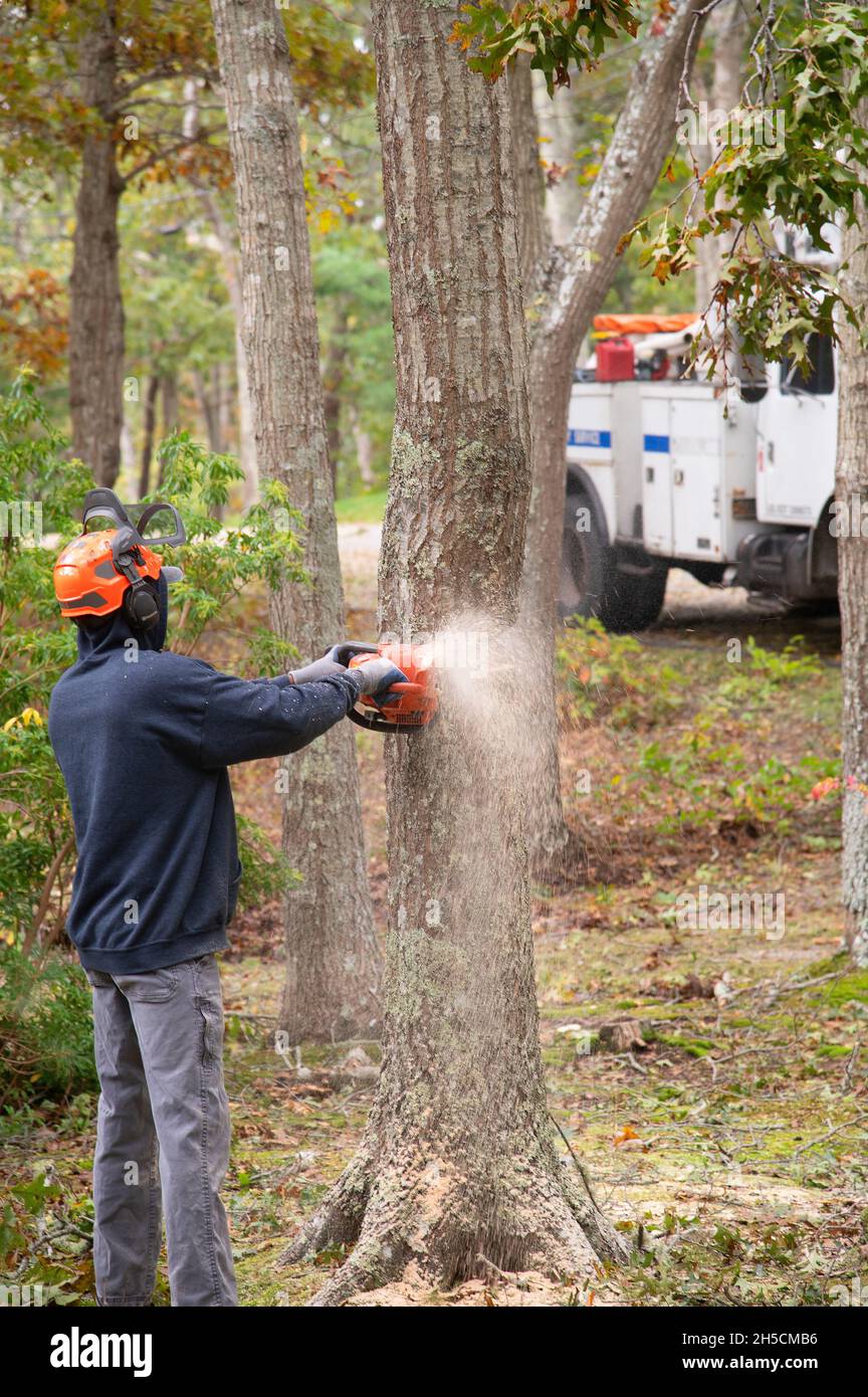 Un lavoratore che pulisce danni da tempesta su Cape Cod Foto Stock