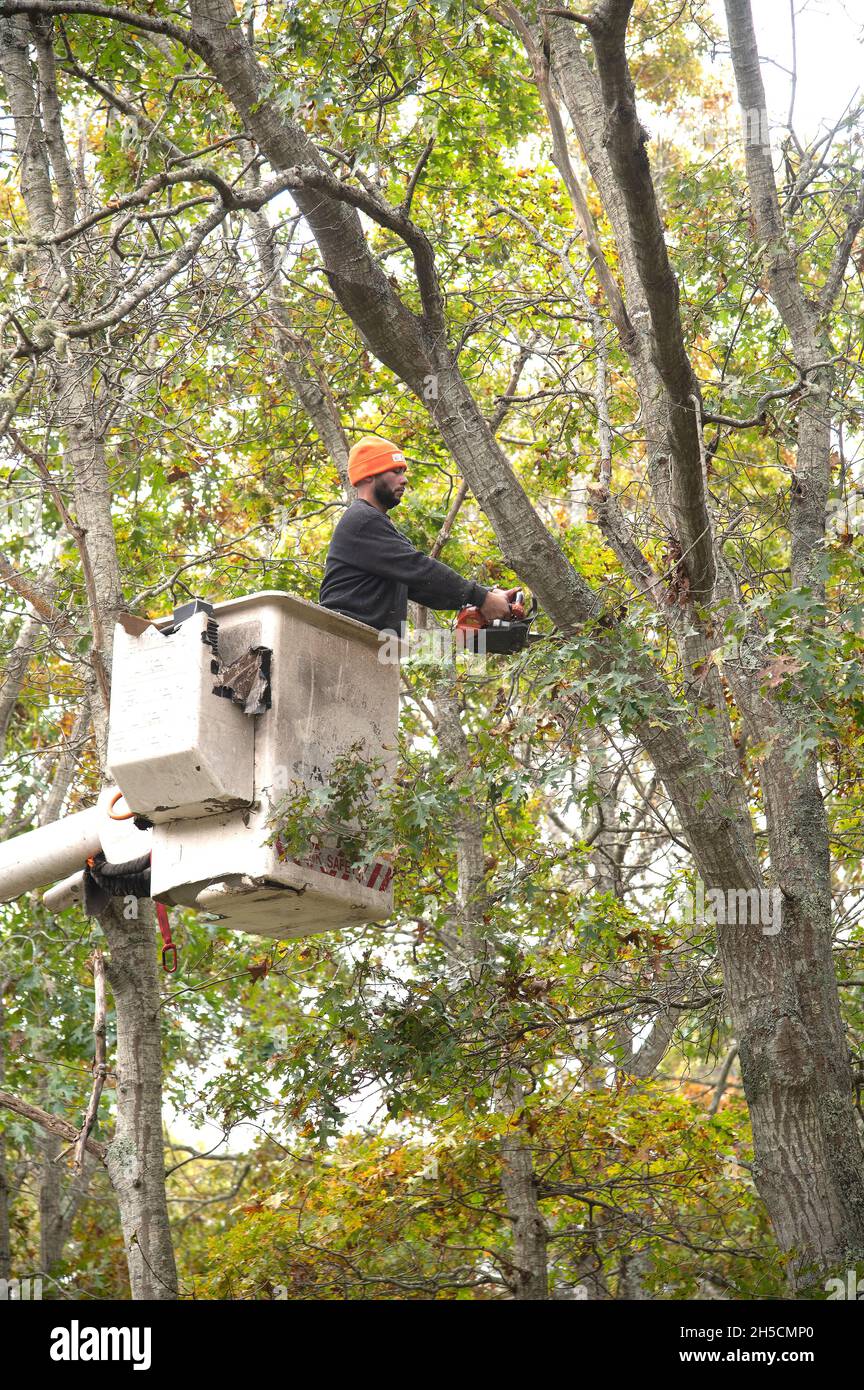I lavoratori puliscono i danni agli alberi a seguito di una tempesta di Northeaster a Dennis, Massachusetts, USA Foto Stock