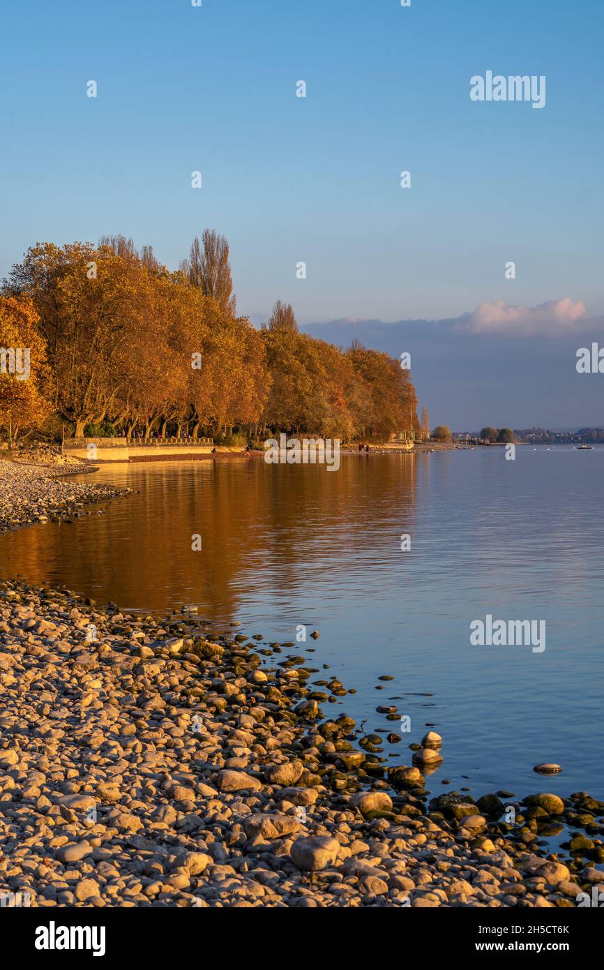 Vacanze autunnali sul bellissimo lago di Costanza Foto Stock