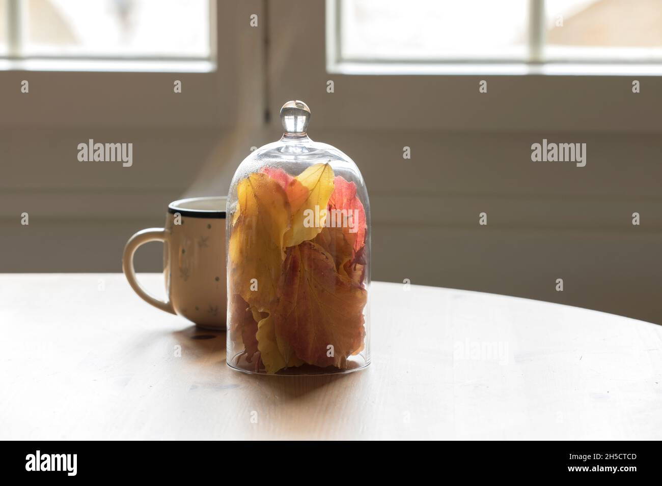 Tavolo con tazza di caffè o tè con decorazione autunnale, foglie colorate. Rilassante a casa, accogliente, atmosfera pigra. Attività per il tempo libero, relax Foto Stock