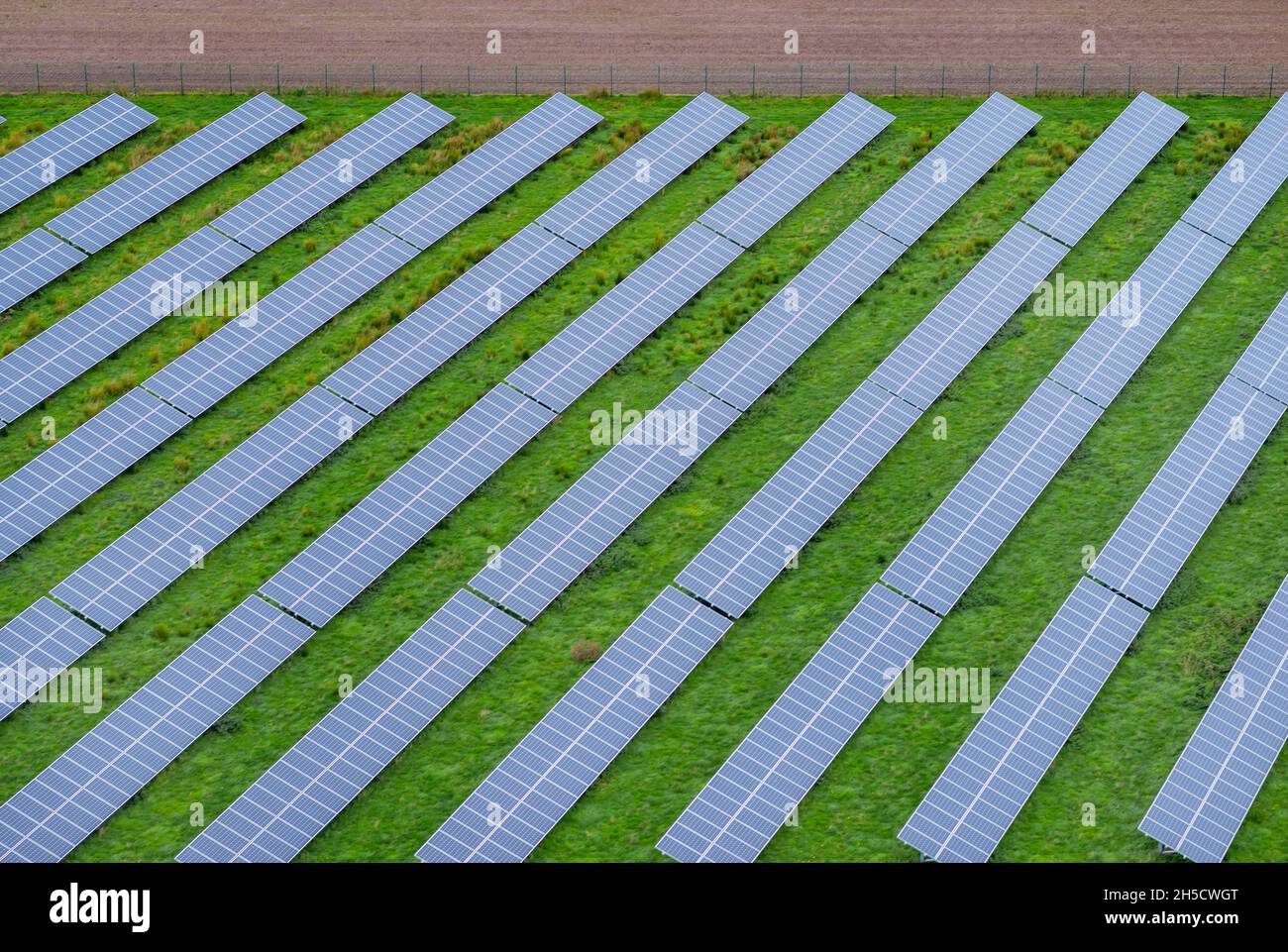 Array solare su un prato, Germania, Schleswig-Holstein Foto Stock