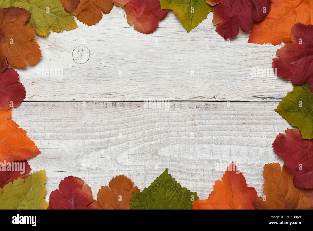 Una cornice di foglie di caduta su tavole lavate bianche rustiche. Foglie artificiali con spazio per la vostra copia. Foto Stock