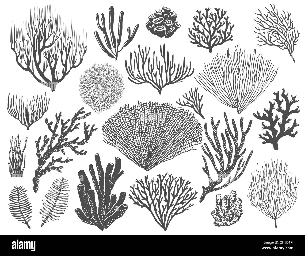 Coralli marini, spugne di barriera corallina e alghe marine. Ocean Bottom LIFE, animali e piante marine, specie topiche di flora sottomarina. Nero vettoriale monocromatico, stellare Illustrazione Vettoriale