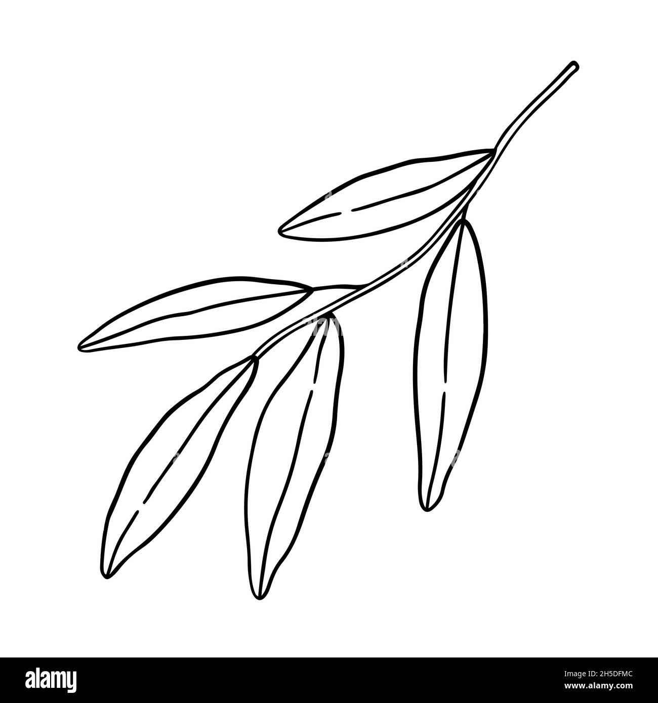 Ramoscello astratto con foglie isolate su sfondo bianco. Illustrazione disegnata a mano vettoriale in stile contorno. Perfetto per carte, logo, decorazioni Illustrazione Vettoriale