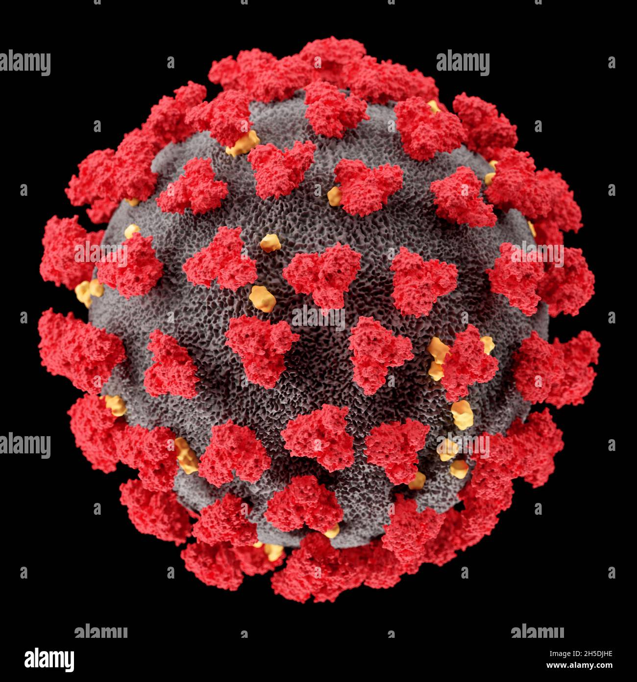 Visualizzazione del virus SARS-COV-2 (COVID19). Illustrazione del patogeno del coronavirus al microscopio. Isolato su sfondo nero. rendering 3d Foto Stock