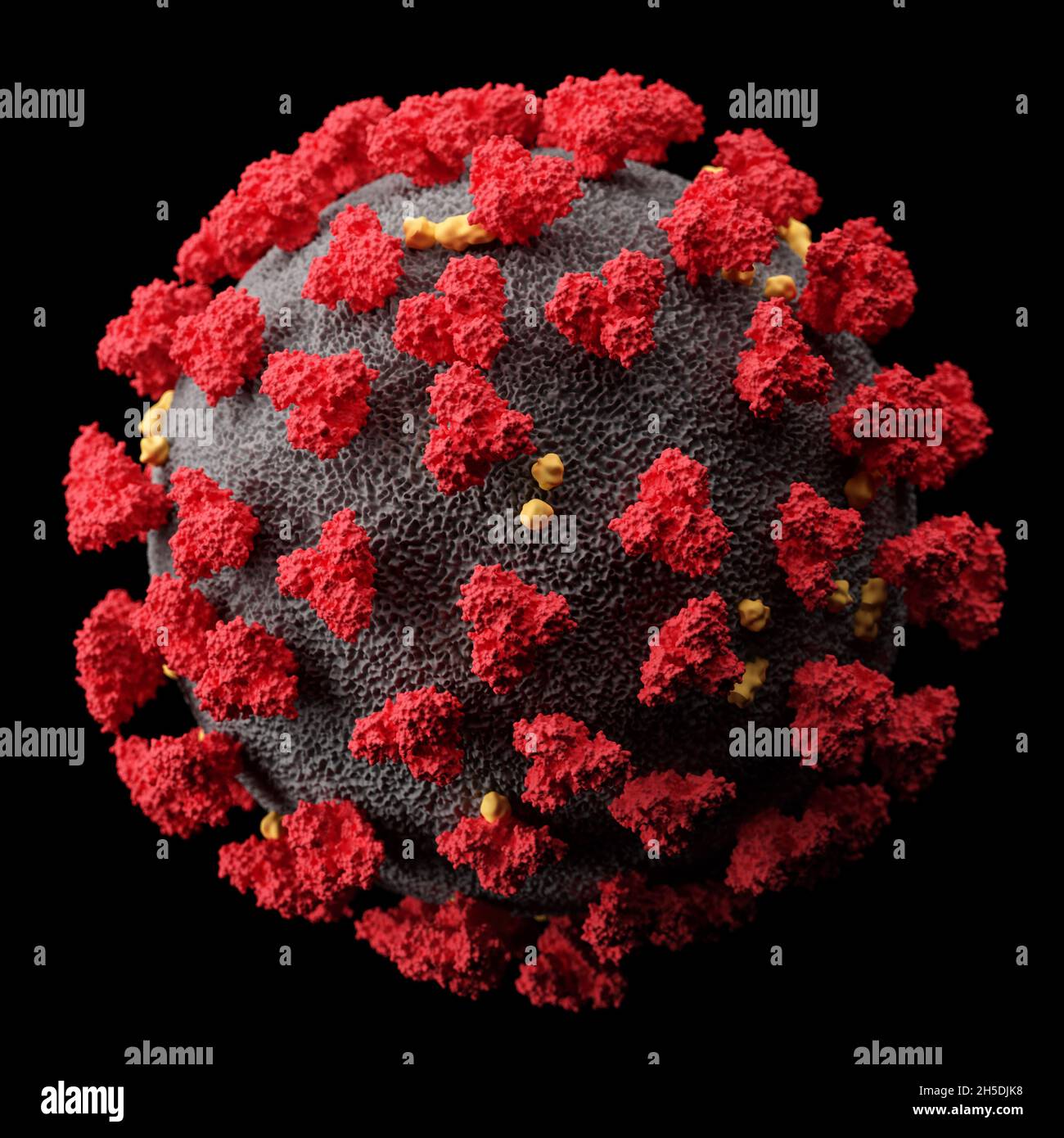 Visualizzazione del virus SARS-COV-2 (COVID19). Illustrazione del patogeno del coronavirus al microscopio. Isolato su sfondo nero. rendering 3d Foto Stock