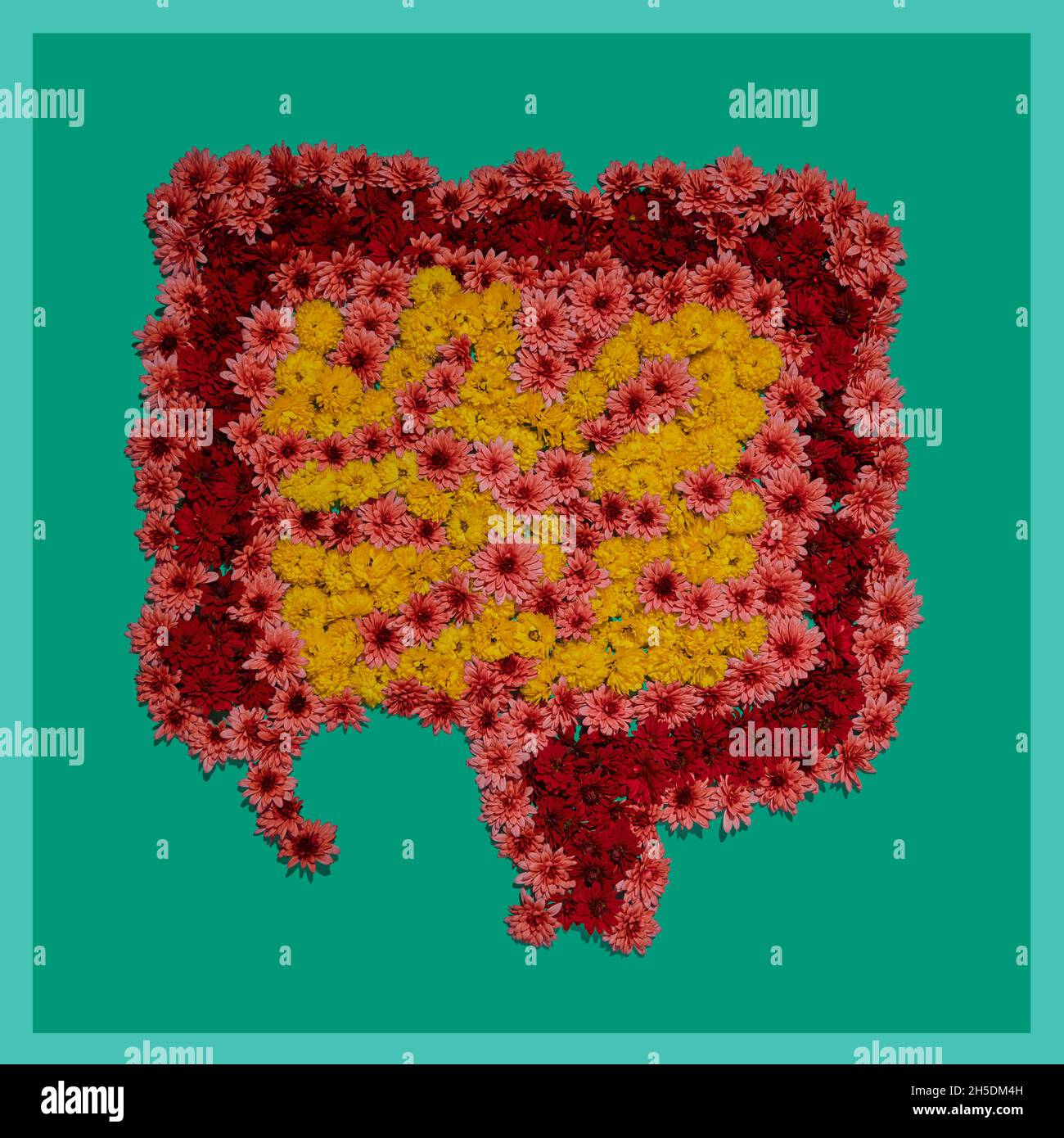 Installazione floreale di intestino umano su sfondo verde, concetto di salute intestinale . Parte di set immagini mediche di organi umani Foto Stock