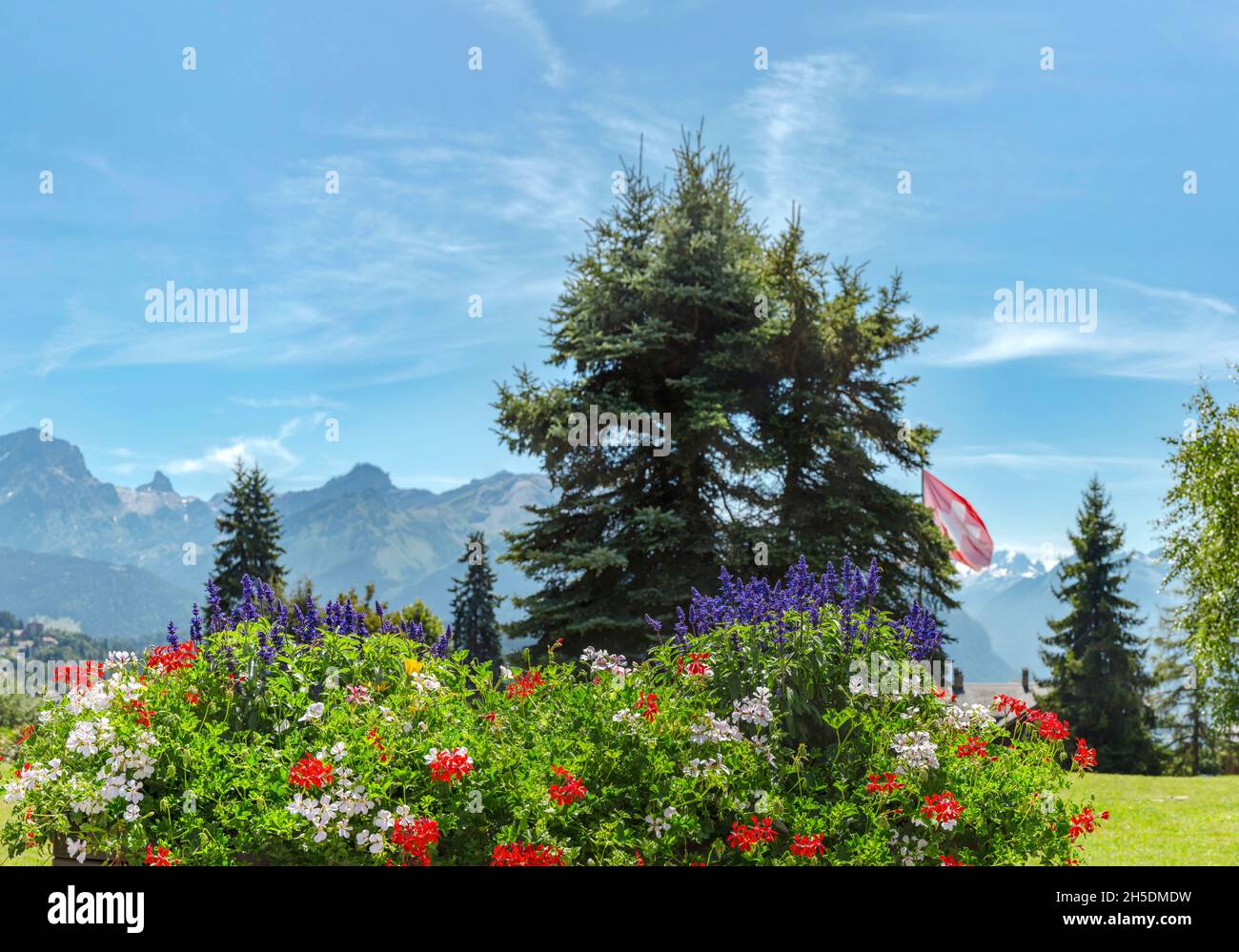 Scatola di fiori con gerani e petunie *** Capzione locale *** Villars-sur-Ollon, Svizzera, paesaggio, fiori, estate, montagne, colline, Foto Stock