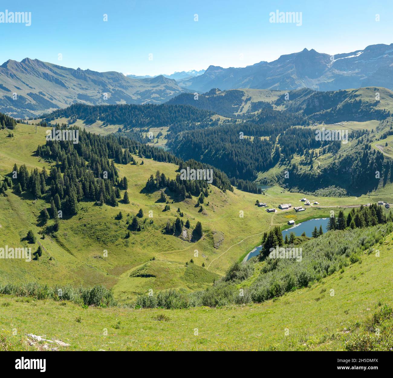 Lac de Bretaye *** Caption locale *** Villars-sur-Ollon, Svizzera, paesaggio, campo, prato, estate, montagne, lago, Foto Stock