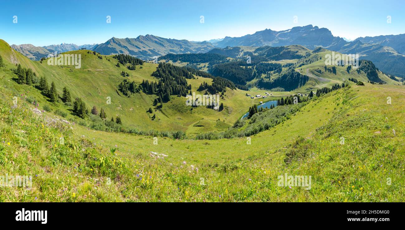 Col de Bretaye *** Caption locale *** Villars-sur-Ollon, Svizzera, paesaggio, campo, prato, estate, montagne, colline, Foto Stock