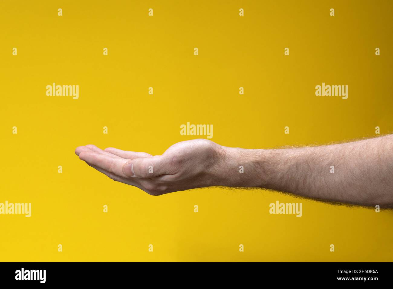 Mano a tazza vuota allungata, palmo su sfondo giallo. Gesto di chiedere o di dare., teso mano vuota a forma di tazza, palmo su giallo backgrou Foto Stock