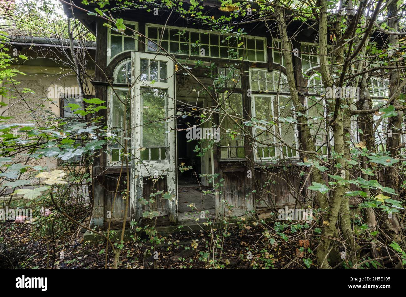 giardino d'inverno di casa abbandonata e sopraffarata Foto Stock