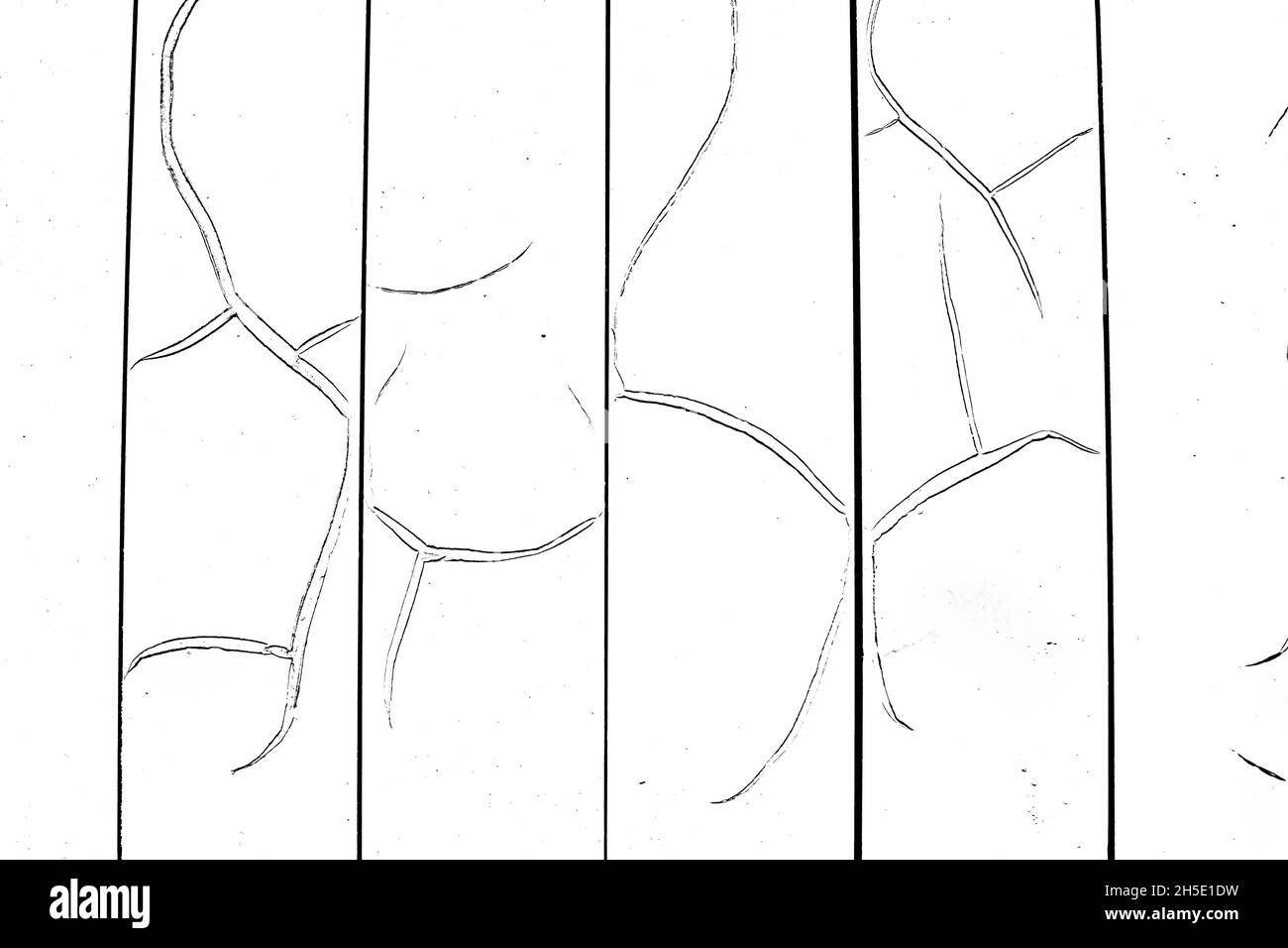 Texture bianco e nero, superficie della recinzione incrinata con vernice, grande crepa con vernice asciutta, fondo effetto testurizzato Foto Stock