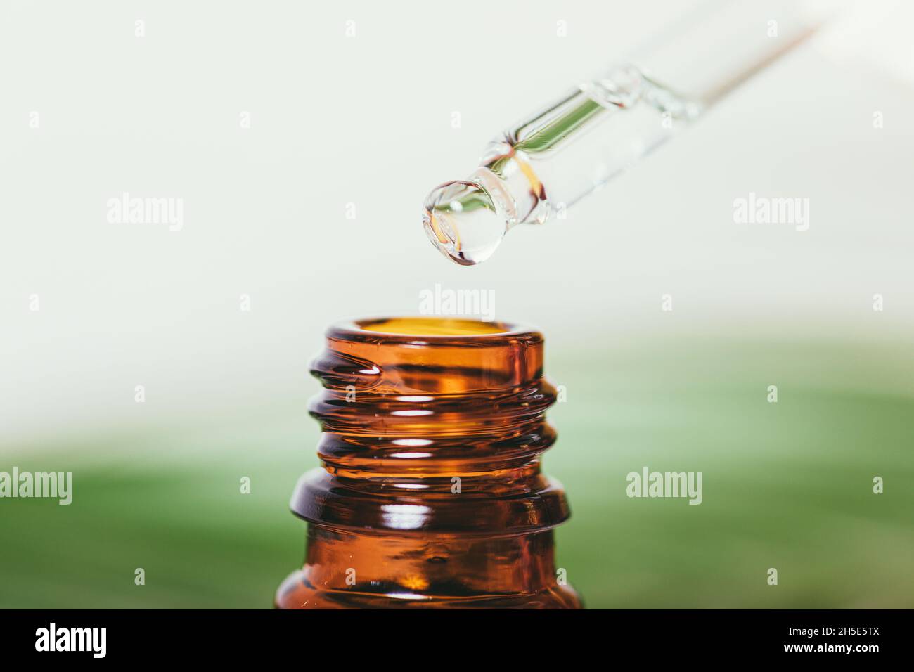 Olio essenziale puro organico in pipetta su bottiglia di vetro ambrato sullo sfondo di foglie verdi, macro Foto Stock