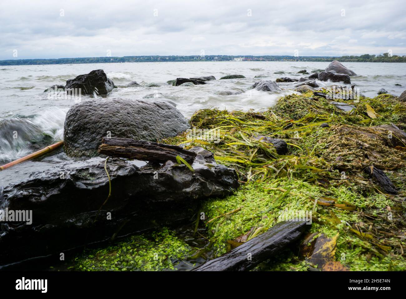 Lungo la riva al Seneca Lake state Park Foto Stock