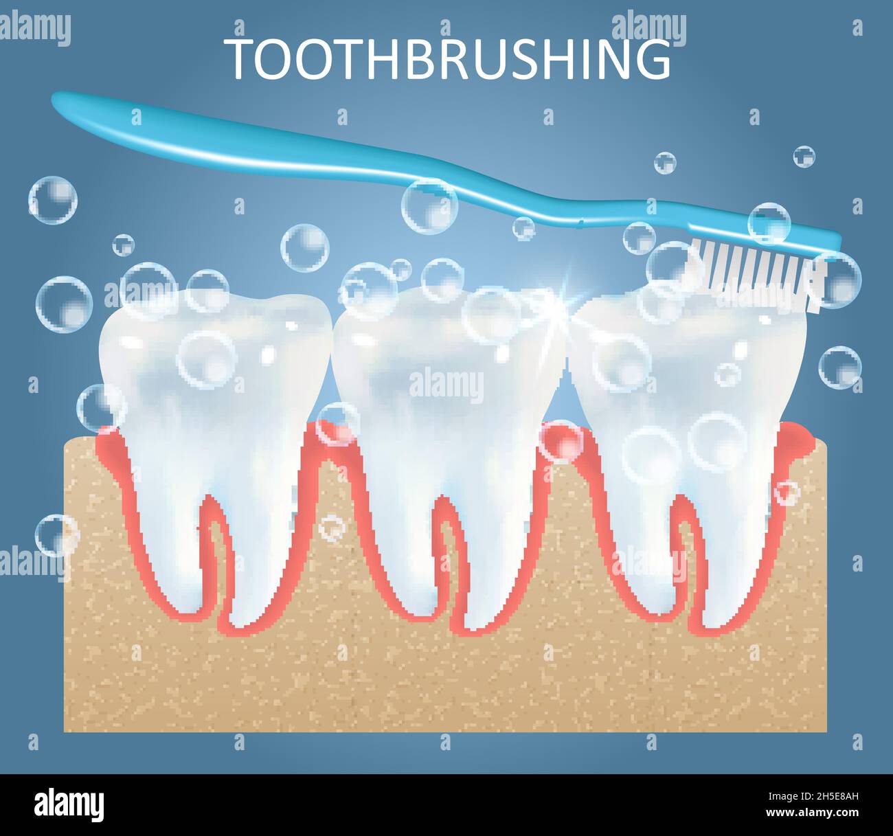 Modello di design del poster dell'anatomia medica vettoriale dello spazzolamento dei denti Illustrazione Vettoriale
