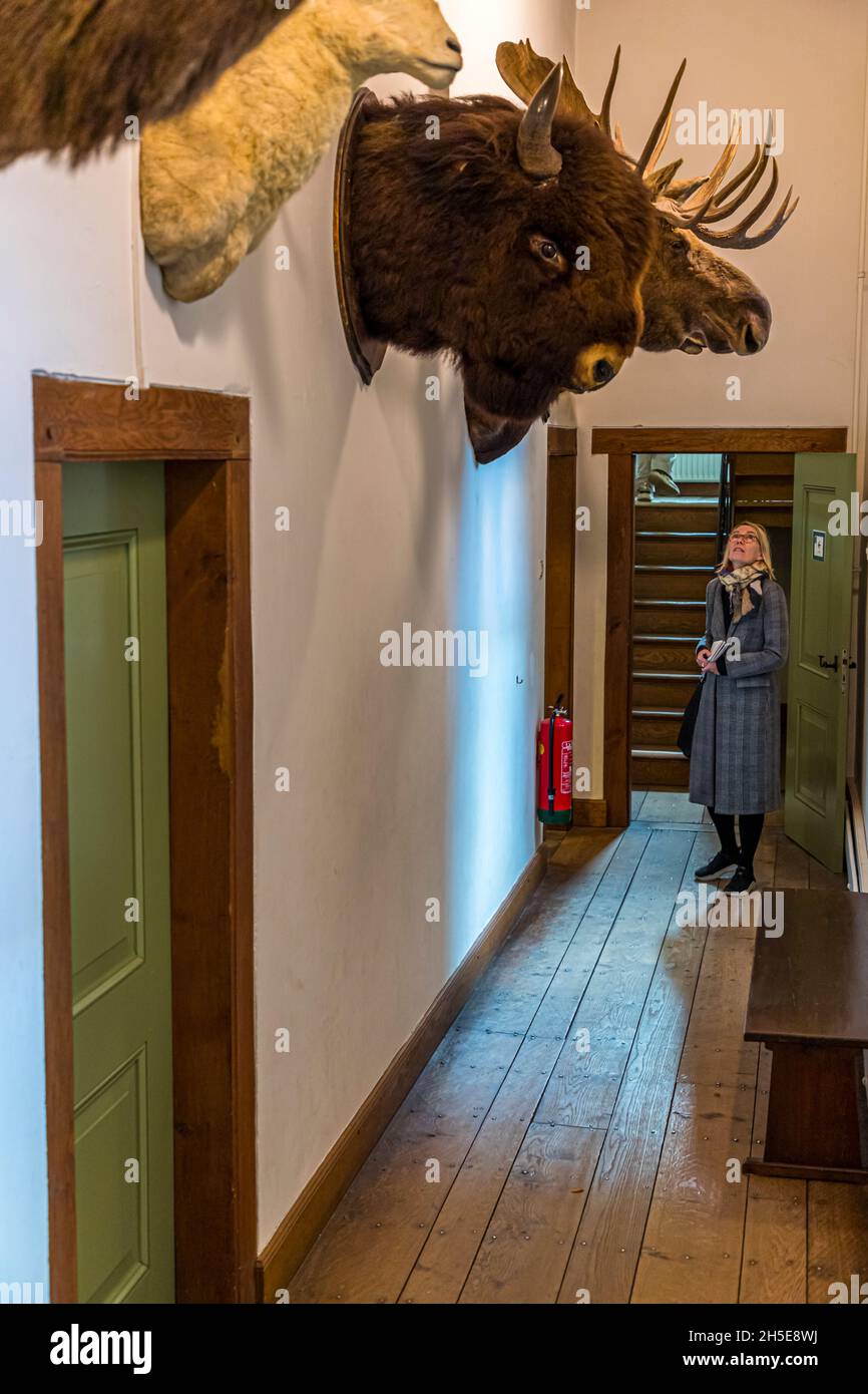 Il Castello di Doorwerth ospita tre musei. La caccia svolge un ruolo importante. Doorwerth, Paesi Bassi Foto Stock