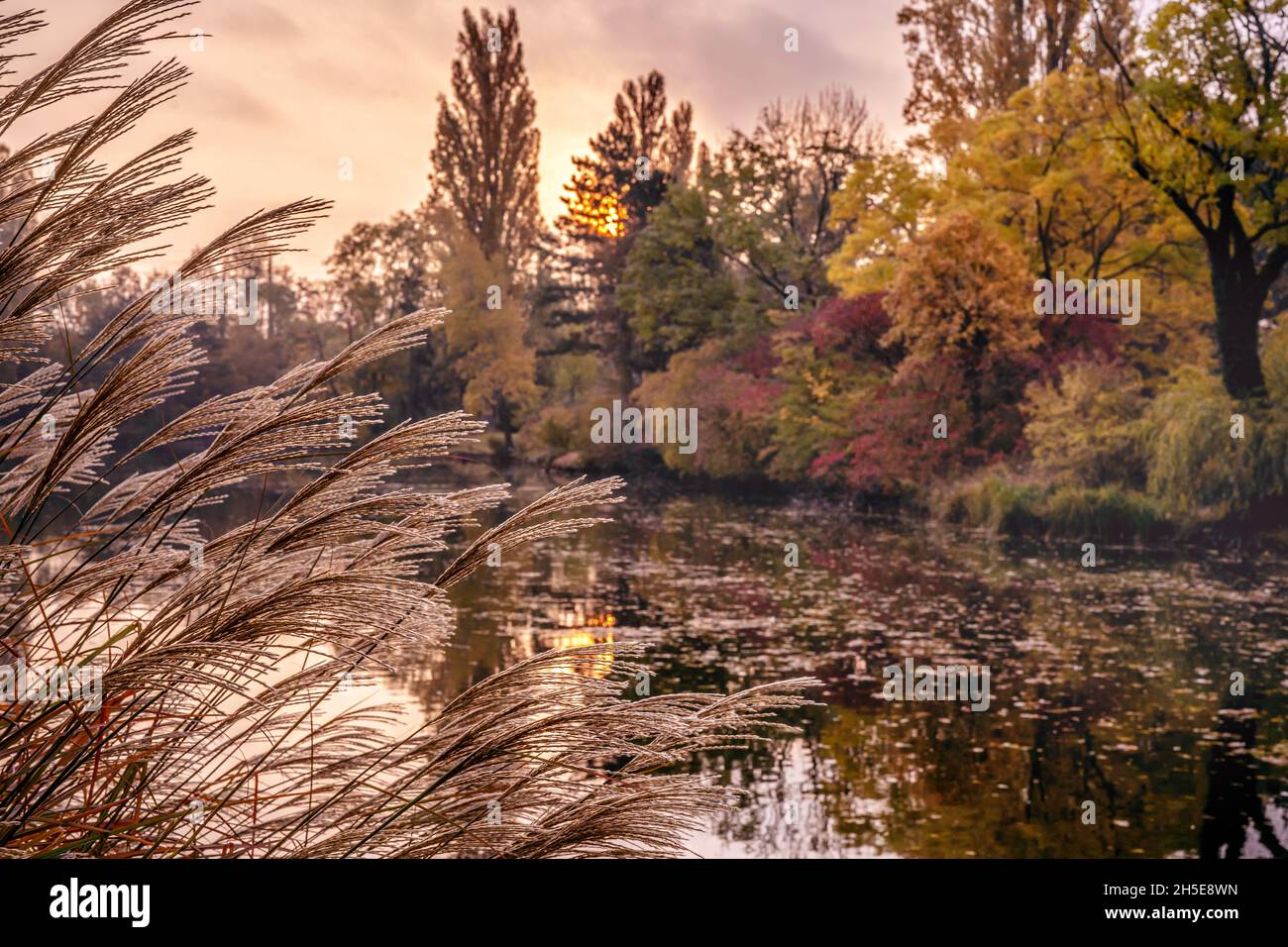 Pittoresca alba nella città di Vienna Foto Stock