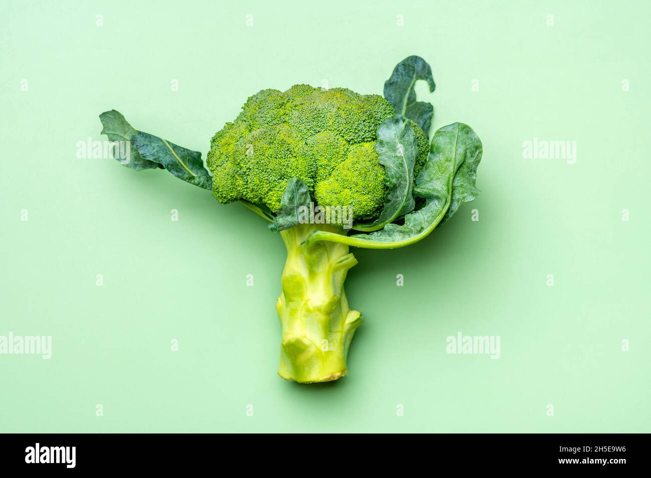 Broccoli di cavolo freschi raccolti su sfondo verde di tendenza. Verdure vitamina C Broccoli organici naturali si trova sul tavolo verde Top View Flat Lay. Foto Stock