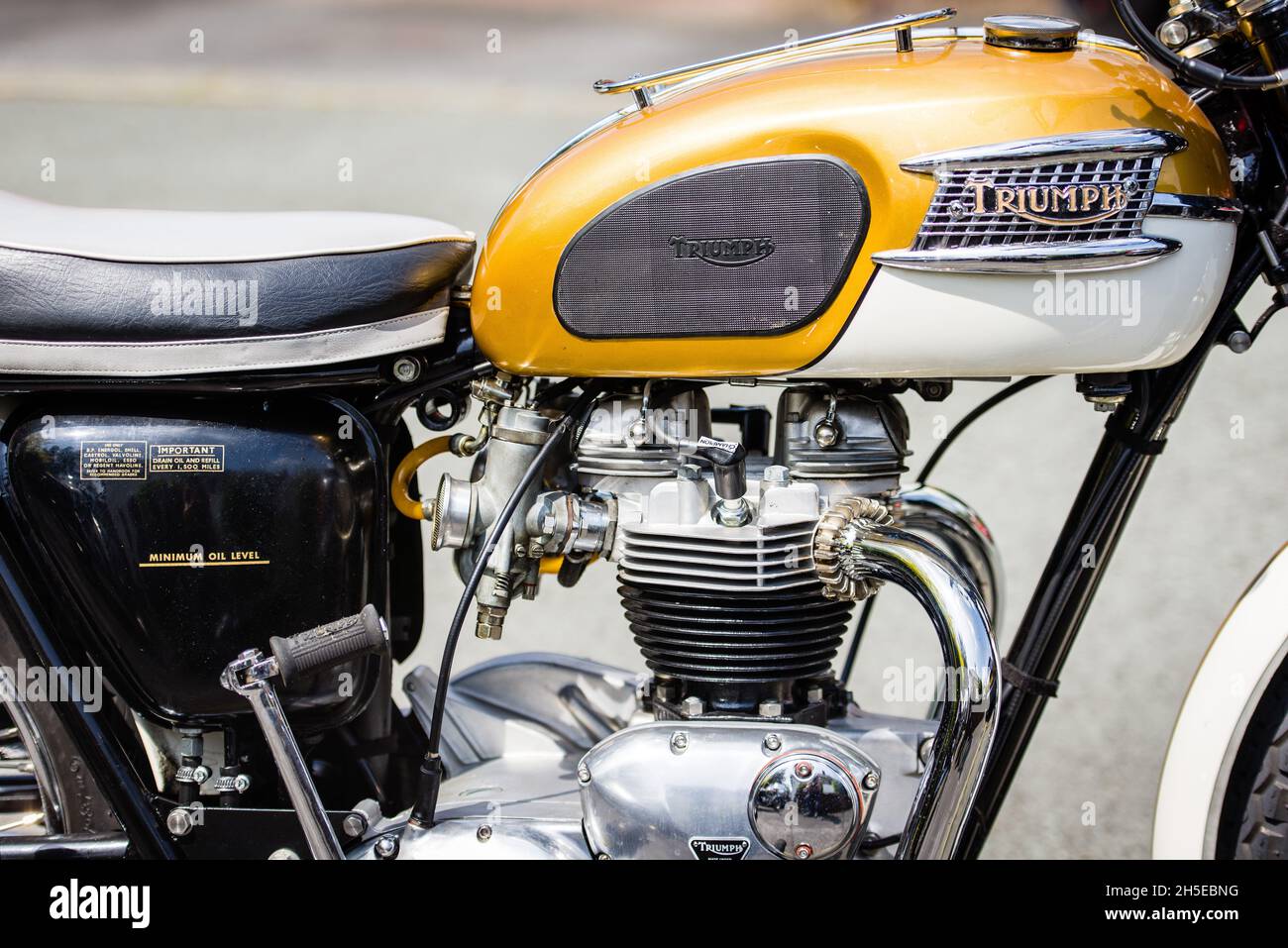 Chester, Regno Unito - 30 maggio 2016: Foto di dettaglio della moto Triumph  Bonneville vintage o classica a metà degli anni '60 Foto stock - Alamy