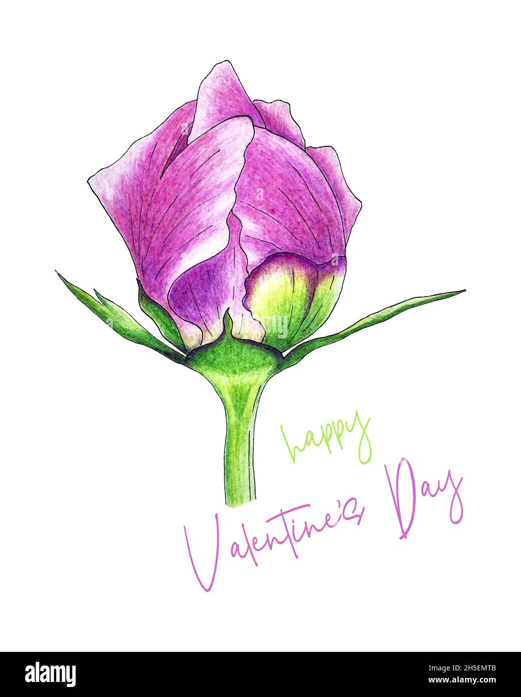Buon San Valentino germogli di peonia e caratteri per tutti gli amanti, disegno a matita a mano, schizzo, cartolina, sfondo bianco. Illustrazione vettoriale Illustrazione Vettoriale